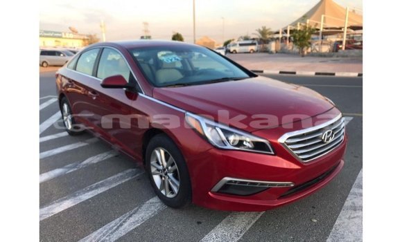 Buy Import Hyundai Sonata Red Car in Import - Dubai in Abhasia Buy Import Hyundai Sonata Red Car in Import - Dubai in Abhasia