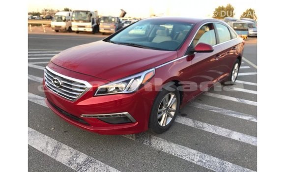 Buy Import Hyundai Sonata Red Car in Import - Dubai in Abhasia Buy Import Hyundai Sonata Red Car in Import - Dubai in Abhasia