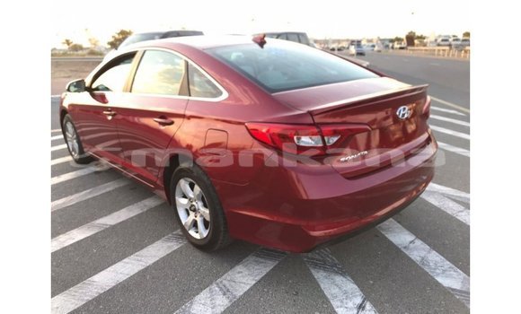Buy Import Hyundai Sonata Red Car in Import - Dubai in Abhasia Buy Import Hyundai Sonata Red Car in Import - Dubai in Abhasia
