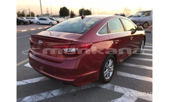 Buy Import Hyundai Sonata Red Car in Import - Dubai in Abhasia Buy Import Hyundai Sonata Red Car in Import - Dubai in Abhasia