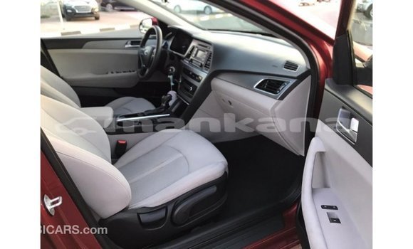 Buy Import Hyundai Sonata Red Car in Import - Dubai in Abhasia Buy Import Hyundai Sonata Red Car in Import - Dubai in Abhasia