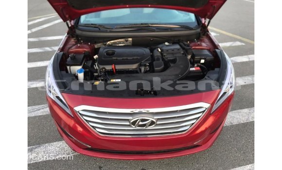 Buy Import Hyundai Sonata Red Car in Import - Dubai in Abhasia Buy Import Hyundai Sonata Red Car in Import - Dubai in Abhasia