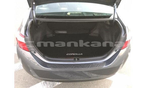 Buy Import Toyota Corolla Other Car in Import - Dubai in Abhasia Buy Import Toyota Corolla Other Car in Import - Dubai in Abhasia