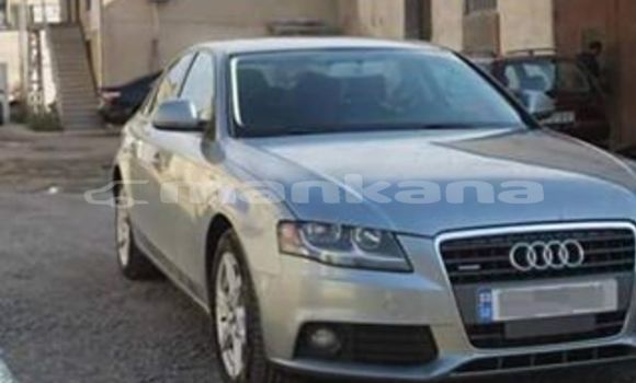 Buy Used Audi A4 Silver Car in Tbilisi in Tbilisi Buy Used Audi A4 Silver Car in Tbilisi in Tbilisi