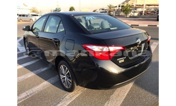 Buy Import Toyota Corolla Black Car in Import - Dubai in Abhasia Buy Import Toyota Corolla Black Car in Import - Dubai in Abhasia