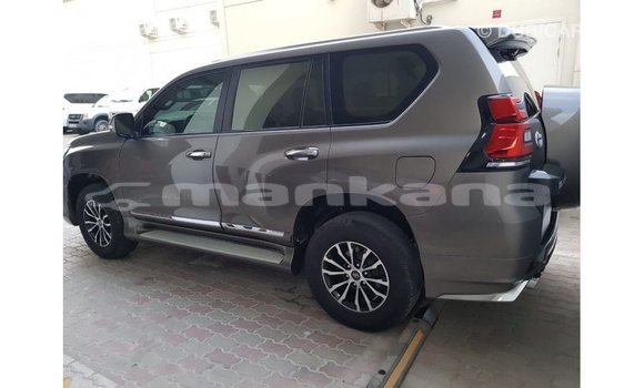 Buy Import Toyota Prado Brown Car in Import - Dubai in Abhasia Buy Import Toyota Prado Brown Car in Import - Dubai in Abhasia