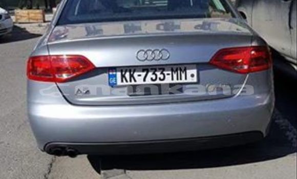 Buy Used Audi A4 Silver Car in Tbilisi in Tbilisi Buy Used Audi A4 Silver Car in Tbilisi in Tbilisi