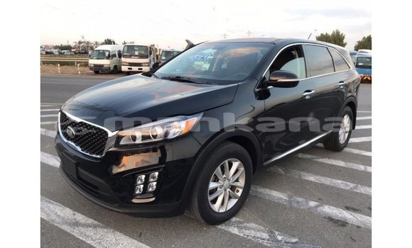 Buy Import Kia Sorento Black Car in Import - Dubai in Abhasia Buy Import Kia Sorento Black Car in Import - Dubai in Abhasia