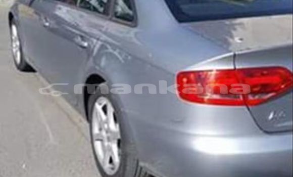 Buy Used Audi A4 Silver Car in Tbilisi in Tbilisi Buy Used Audi A4 Silver Car in Tbilisi in Tbilisi