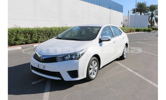 Buy Import Toyota Corolla White Car in Import - Dubai in Abhasia Buy Import Toyota Corolla White Car in Import - Dubai in Abhasia