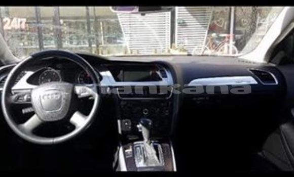 Buy Used Audi A4 Silver Car in Tbilisi in Tbilisi Buy Used Audi A4 Silver Car in Tbilisi in Tbilisi