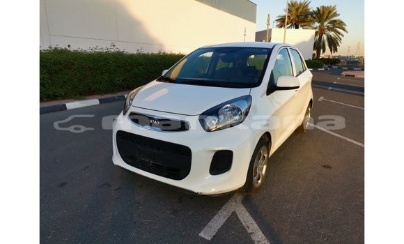 Buy Import Kia Picanto White Car in Import - Dubai in Abhasia Buy Import Kia Picanto White Car in Import - Dubai in Abhasia