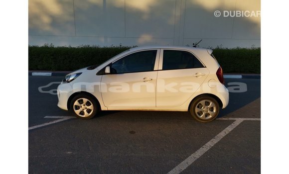 Buy Import Kia Picanto White Car in Import - Dubai in Abhasia Buy Import Kia Picanto White Car in Import - Dubai in Abhasia