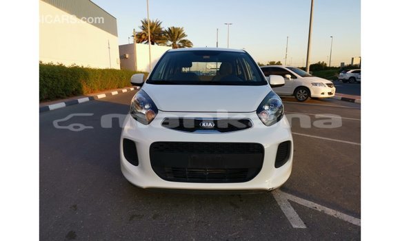 Buy Import Kia Picanto White Car in Import - Dubai in Abhasia Buy Import Kia Picanto White Car in Import - Dubai in Abhasia