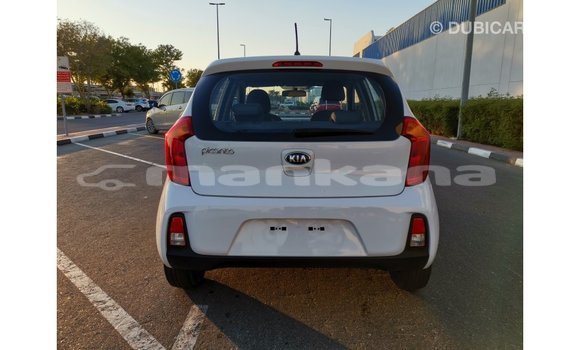 Buy Import Kia Picanto White Car in Import - Dubai in Abhasia Buy Import Kia Picanto White Car in Import - Dubai in Abhasia