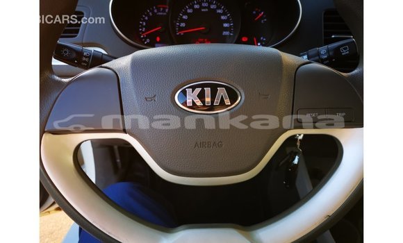 Buy Import Kia Picanto White Car in Import - Dubai in Abhasia Buy Import Kia Picanto White Car in Import - Dubai in Abhasia