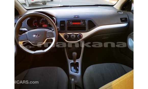 Buy Import Kia Picanto White Car in Import - Dubai in Abhasia Buy Import Kia Picanto White Car in Import - Dubai in Abhasia