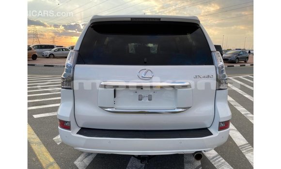 Buy Import Lexus GX White Car in Import - Dubai in Abhasia Buy Import Lexus GX White Car in Import - Dubai in Abhasia