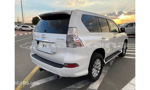 Buy Import Lexus GX White Car in Import - Dubai in Abhasia Buy Import Lexus GX White Car in Import - Dubai in Abhasia