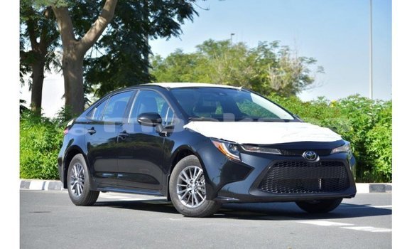 Buy Import Toyota Corolla Black Car in Import - Dubai in Abhasia Buy Import Toyota Corolla Black Car in Import - Dubai in Abhasia