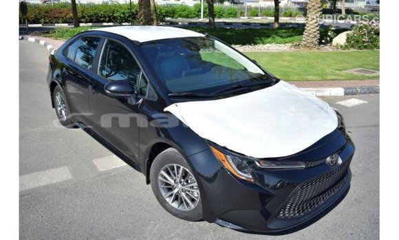 Buy Import Toyota Corolla Black Car in Import - Dubai in Abhasia Buy Import Toyota Corolla Black Car in Import - Dubai in Abhasia