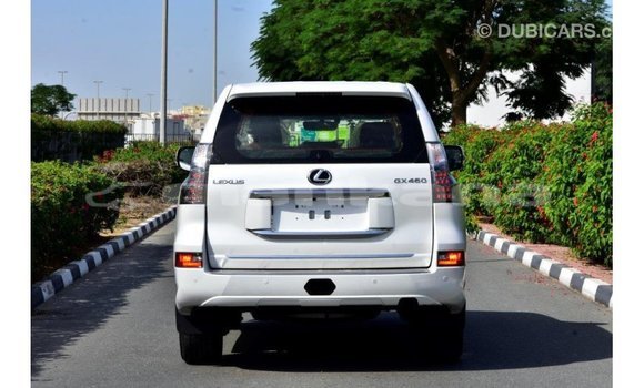 Buy Import Lexus GX White Car in Import - Dubai in Abhasia Buy Import Lexus GX White Car in Import - Dubai in Abhasia
