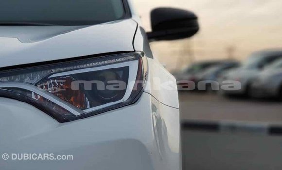Buy Import Toyota RAV4 White Car in Import - Dubai in Abhasia Buy Import Toyota RAV4 White Car in Import - Dubai in Abhasia