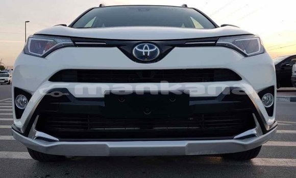 Buy Import Toyota RAV4 White Car in Import - Dubai in Abhasia Buy Import Toyota RAV4 White Car in Import - Dubai in Abhasia