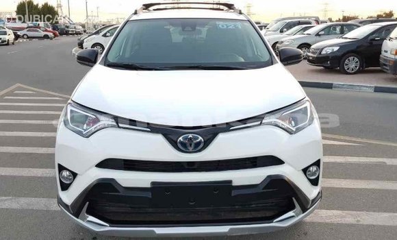 Buy Import Toyota RAV4 White Car in Import - Dubai in Abhasia Buy Import Toyota RAV4 White Car in Import - Dubai in Abhasia