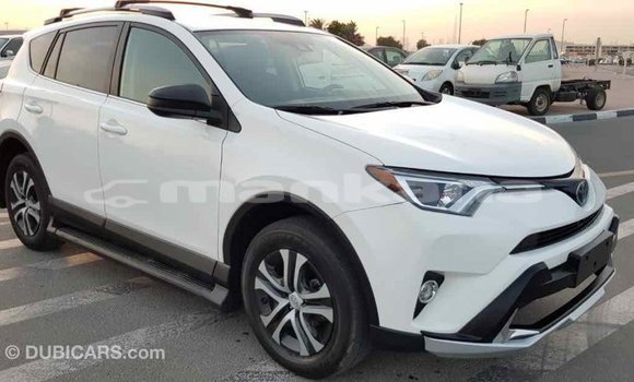 Buy Import Toyota RAV4 White Car in Import - Dubai in Abhasia Buy Import Toyota RAV4 White Car in Import - Dubai in Abhasia