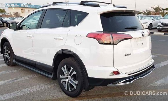 Buy Import Toyota RAV4 White Car in Import - Dubai in Abhasia Buy Import Toyota RAV4 White Car in Import - Dubai in Abhasia