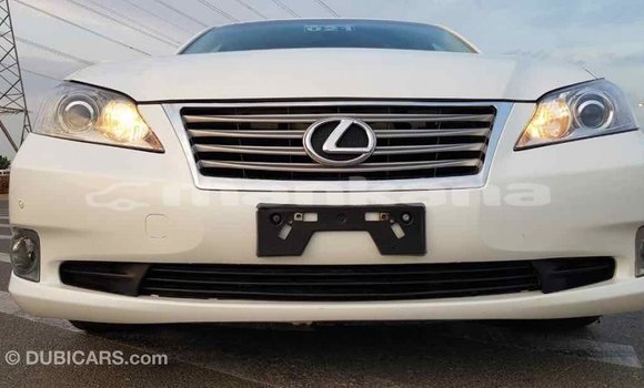 Buy Import Lexus ES White Car in Import - Dubai in Abhasia Buy Import Lexus ES White Car in Import - Dubai in Abhasia