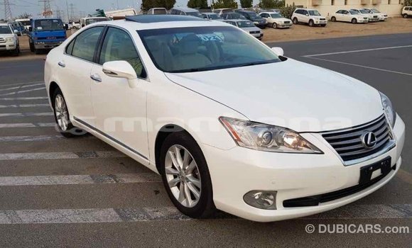 Buy Import Lexus ES White Car in Import - Dubai in Abhasia Buy Import Lexus ES White Car in Import - Dubai in Abhasia