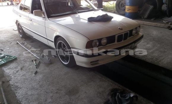 Buy Used BMW 5–Series White Car in Tbilisi in Tbilisi