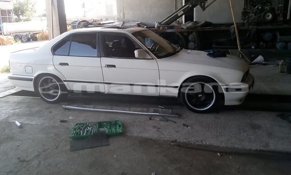 Buy Used BMW 5–Series White Car in Tbilisi in Tbilisi Buy Used BMW 5–Series White Car in Tbilisi in Tbilisi