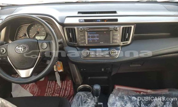 Buy Import Toyota RAV4 Other Car in Import - Dubai in Abhasia Buy Import Toyota RAV4 Other Car in Import - Dubai in Abhasia
