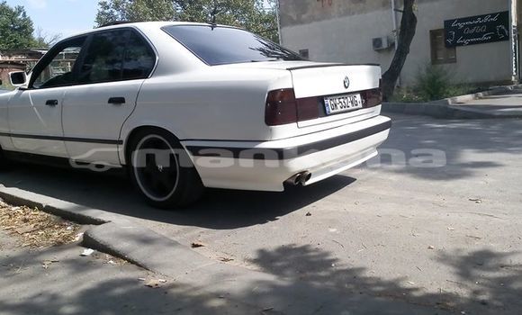Buy Used BMW 5–Series White Car in Tbilisi in Tbilisi Buy Used BMW 5–Series White Car in Tbilisi in Tbilisi