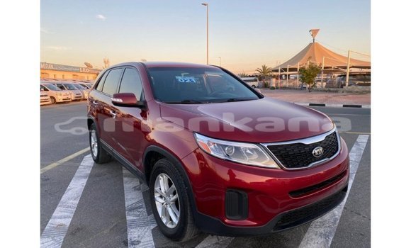 Buy Import Kia Sorento Red Car in Import - Dubai in Abhasia Buy Import Kia Sorento Red Car in Import - Dubai in Abhasia