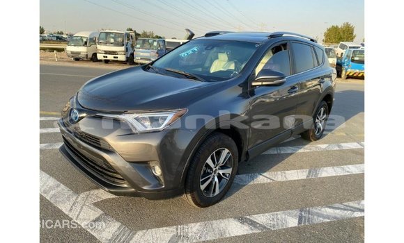 Buy Import Toyota HiAce Other Truck in Import - Dubai in Abhasia Buy Import Toyota HiAce Other Truck in Import - Dubai in Abhasia