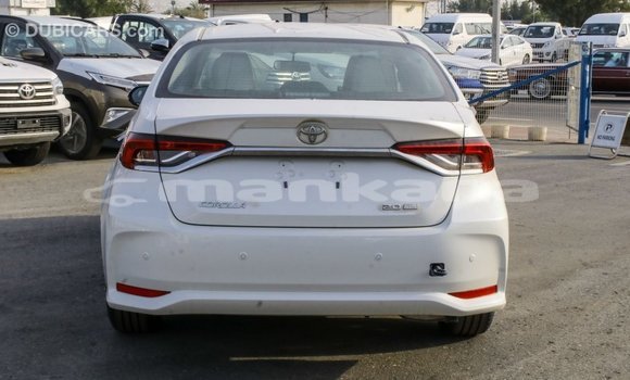 Buy Import Toyota Corolla White Car in Import - Dubai in Abhasia Buy Import Toyota Corolla White Car in Import - Dubai in Abhasia