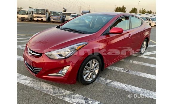 Buy Import Hyundai Elantra Red Car in Import - Dubai in Abhasia Buy Import Hyundai Elantra Red Car in Import - Dubai in Abhasia