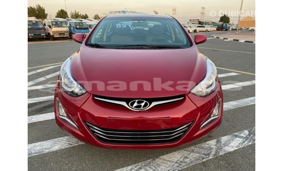 Buy Import Hyundai Elantra Red Car in Import - Dubai in Abhasia Buy Import Hyundai Elantra Red Car in Import - Dubai in Abhasia