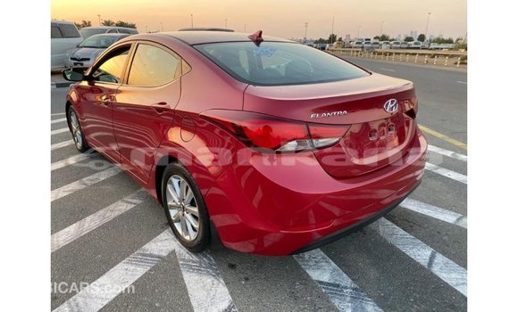 Buy Import Hyundai Elantra Red Car in Import - Dubai in Abhasia Buy Import Hyundai Elantra Red Car in Import - Dubai in Abhasia