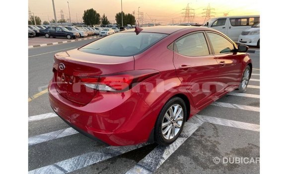 Buy Import Hyundai Elantra Red Car in Import - Dubai in Abhasia Buy Import Hyundai Elantra Red Car in Import - Dubai in Abhasia