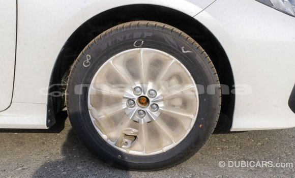 Buy Import Toyota Corolla White Car in Import - Dubai in Abhasia Buy Import Toyota Corolla White Car in Import - Dubai in Abhasia