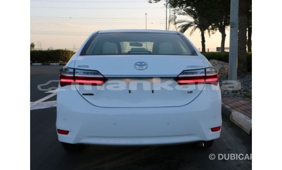Buy Import Toyota Corolla White Car in Import - Dubai in Abhasia Buy Import Toyota Corolla White Car in Import - Dubai in Abhasia
