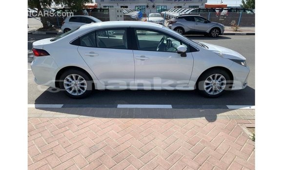 Buy Import Toyota Corolla White Car in Import - Dubai in Abhasia Buy Import Toyota Corolla White Car in Import - Dubai in Abhasia