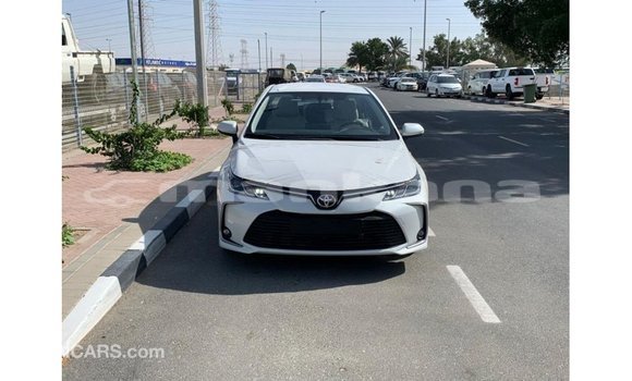 Buy Import Toyota Corolla White Car in Import - Dubai in Abhasia Buy Import Toyota Corolla White Car in Import - Dubai in Abhasia