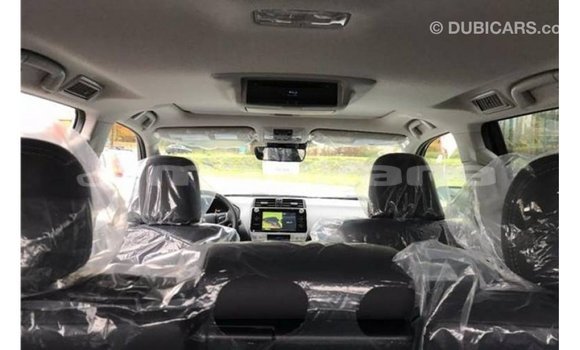 Buy Import Toyota Prado Other Car in Import - Dubai in Abhasia Buy Import Toyota Prado Other Car in Import - Dubai in Abhasia