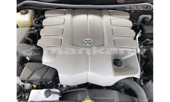 Buy Import Toyota Land Cruiser White Car in Import - Dubai in Abhasia Buy Import Toyota Land Cruiser White Car in Import - Dubai in Abhasia